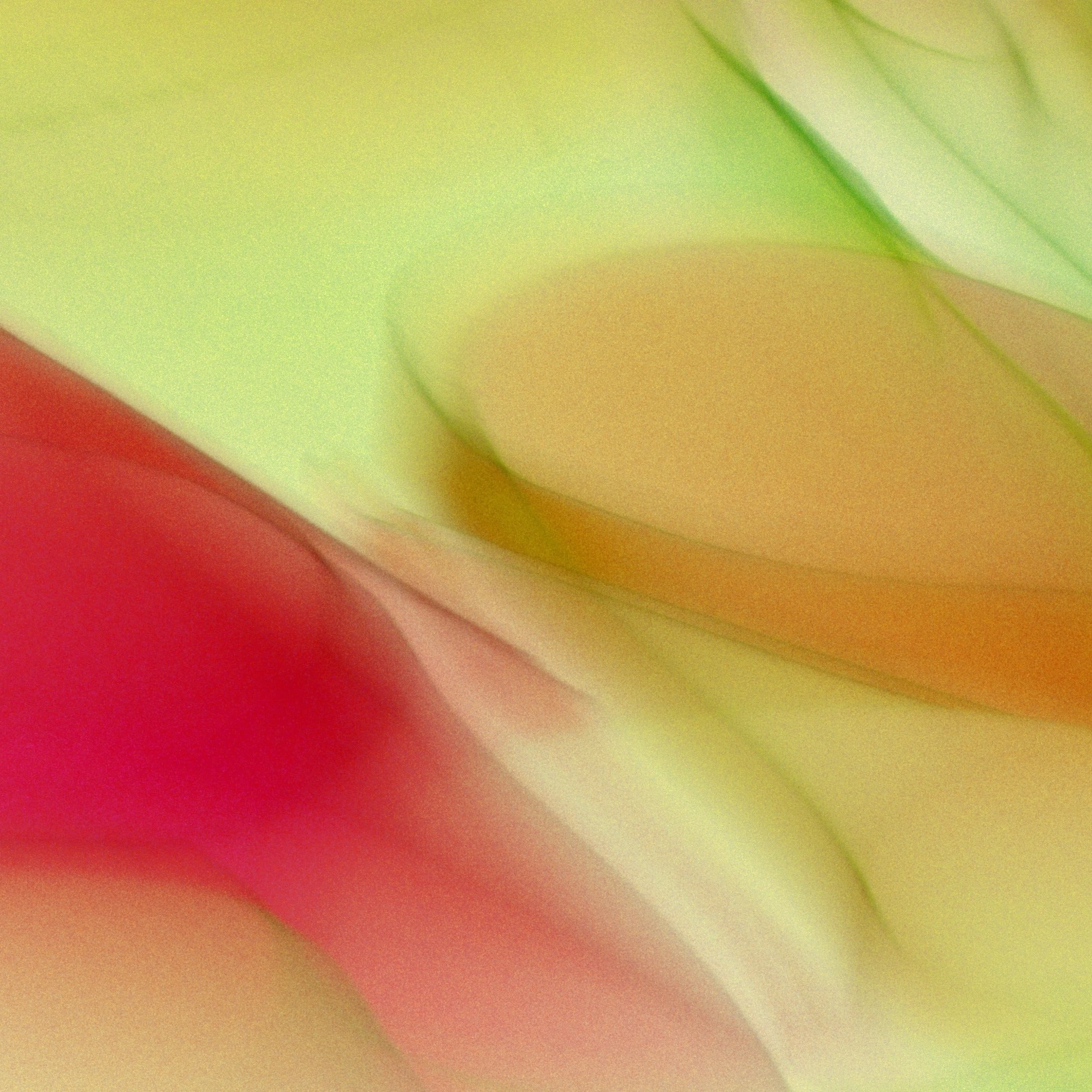 Beispielbild für Sustainability at Darkroom: Our efforts to create eco-friendly artwork