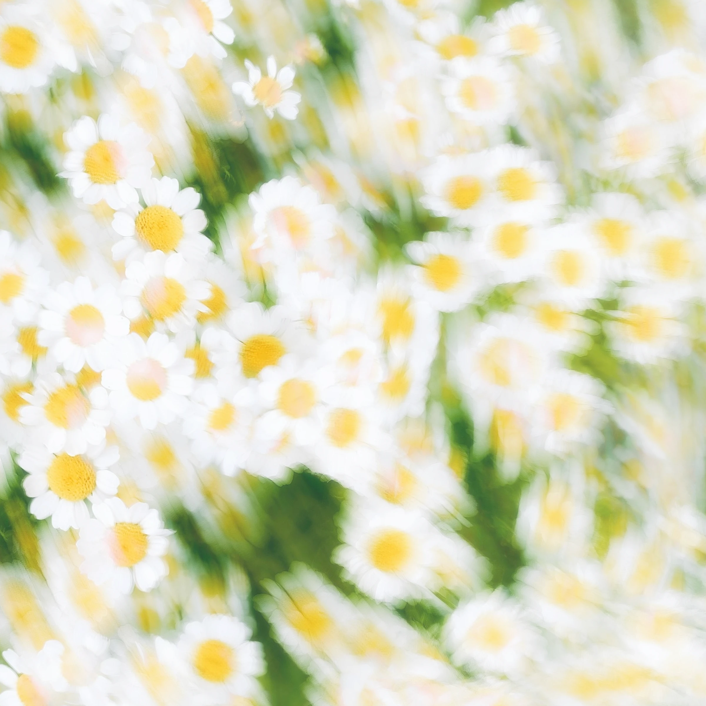 Exemple d’image pour Comment choisir l’œuvre d’art parfaite avec Darkroom : conseils d’experts