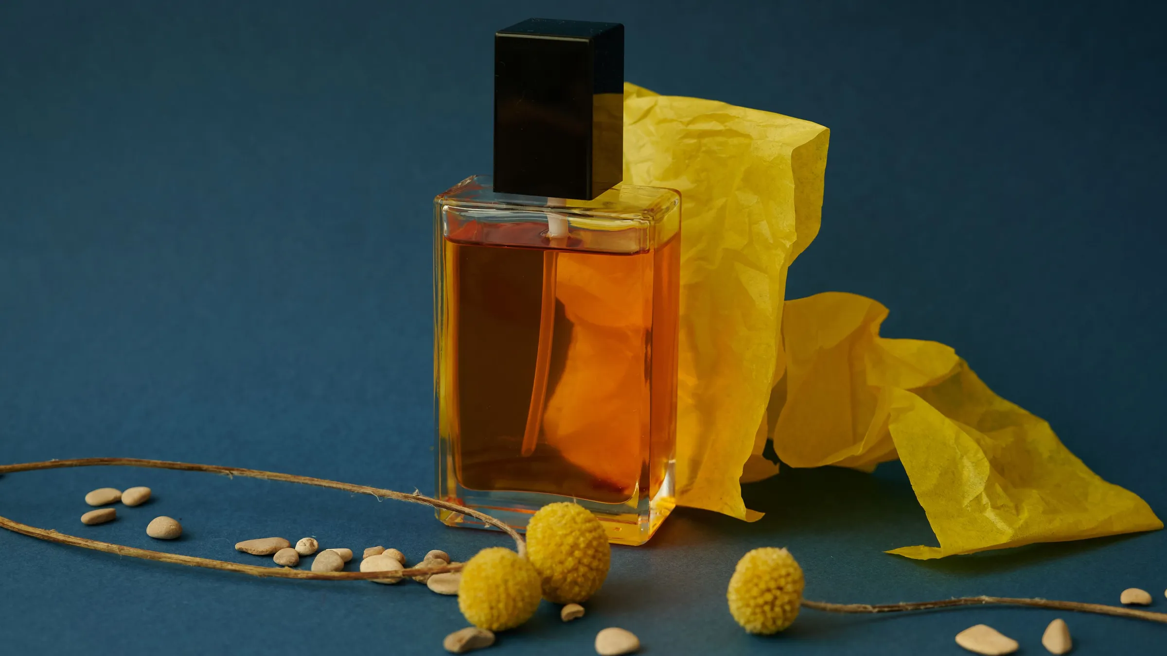 Example image for The journey of a skincare: From Align's concept to your home